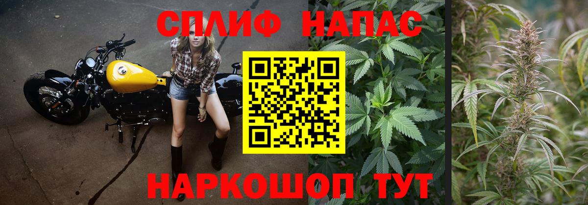 Каннабис семена Домодедово